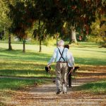 Idosos caminhando