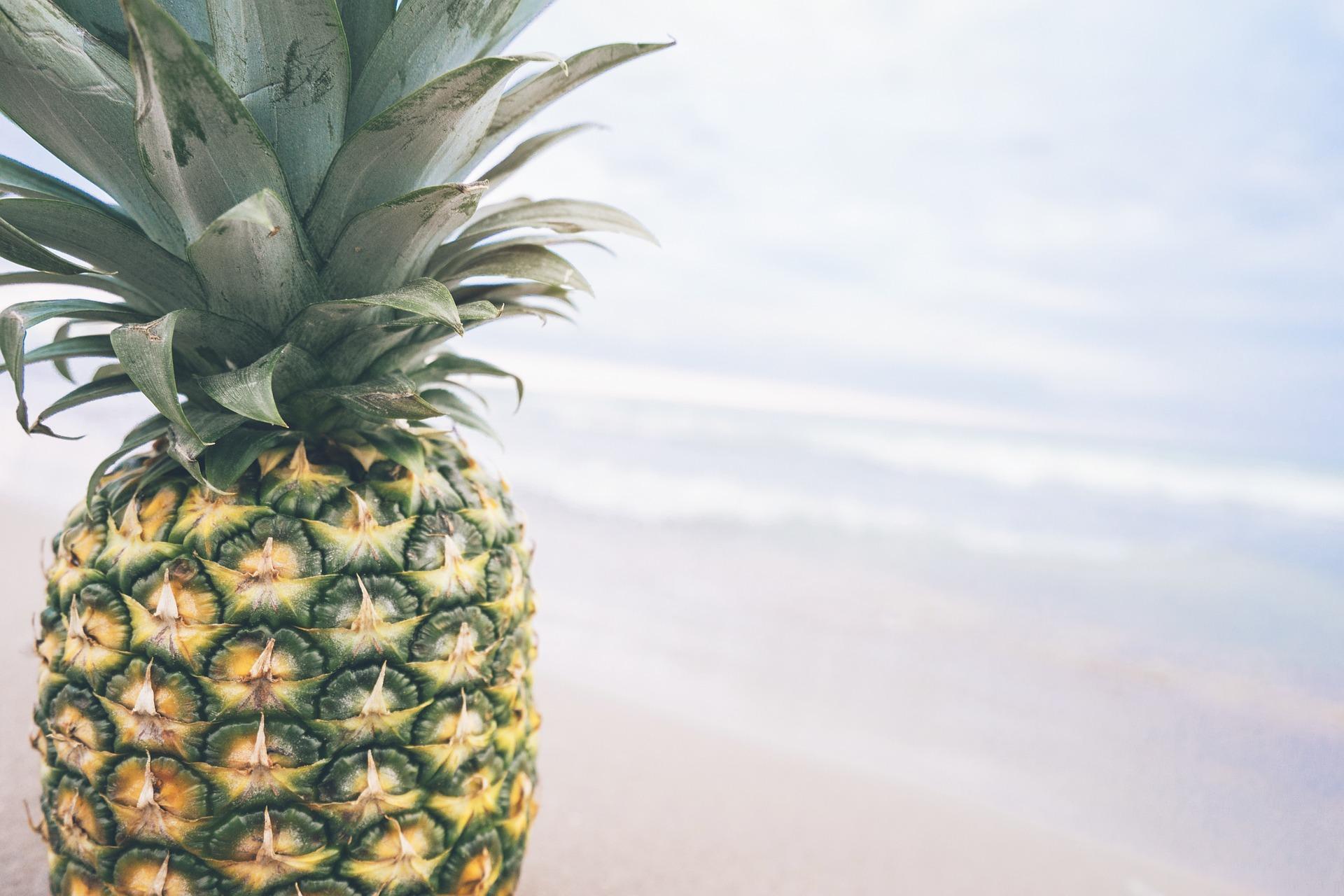 Diferença entre ananas e abacaxi